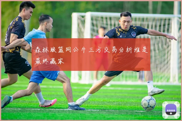 森林狼篮网公牛三方交易分析谁是最终赢家